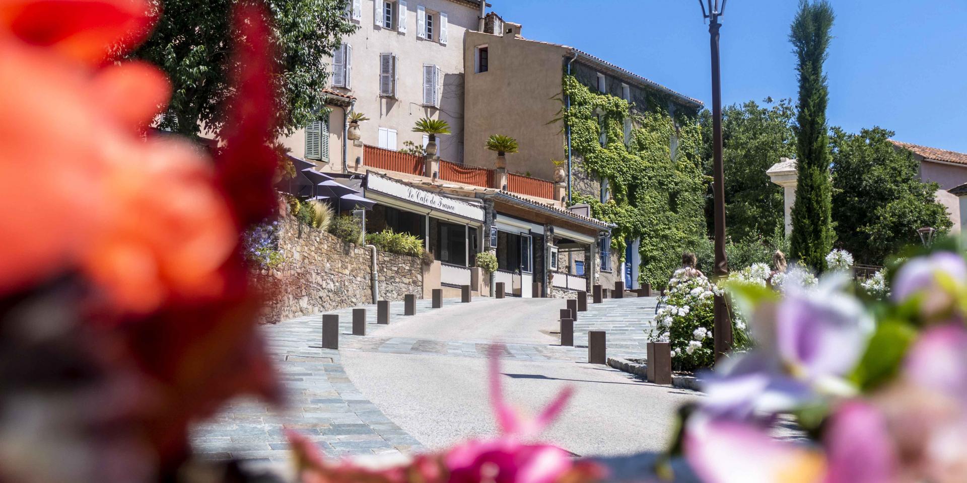 Picture of Grimaud