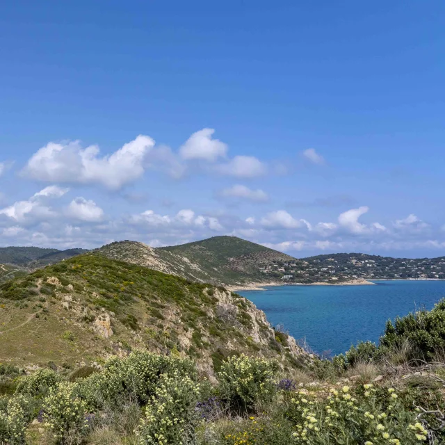 Cap Taillat Ramatuelle Golfe Saint Tropez