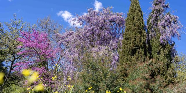 Massif Des Maures Grimaud Var Provence (39)