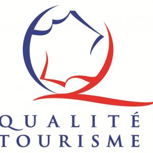 Logo Qt Couleur 300x300