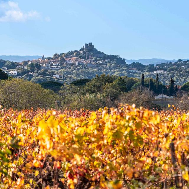Automne Grimaud Var Provence (26)