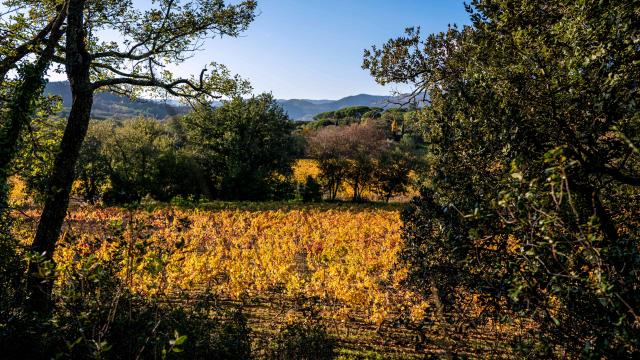 Automne Grimaud Var Provence (28)