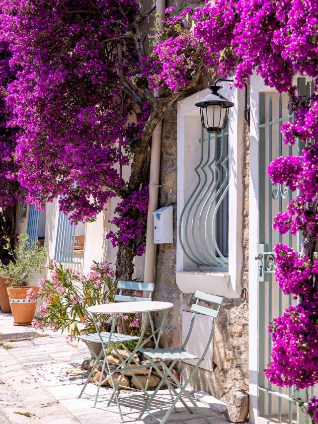 Grimaud Village Historique Var 79