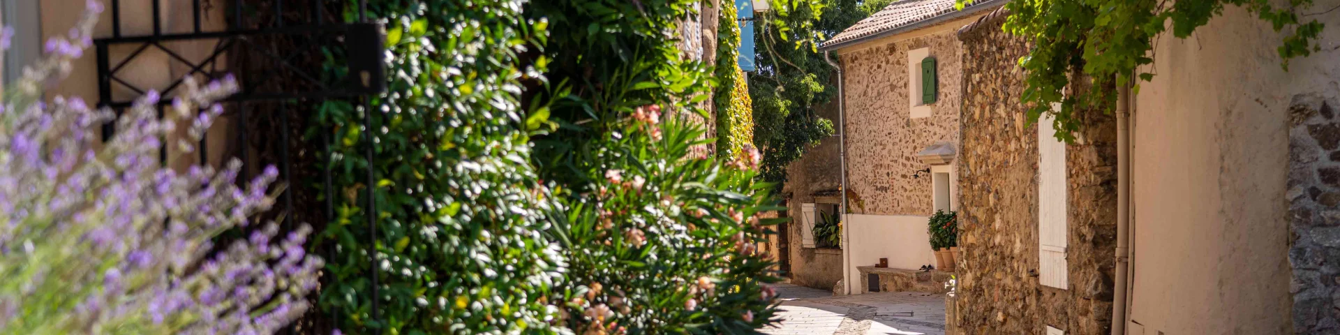 Grimaud Village Historique Var 91