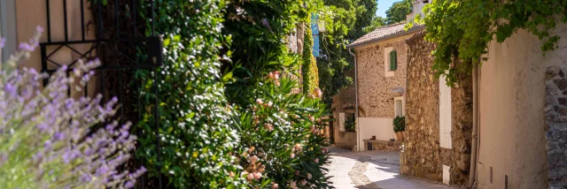 Grimaud Village Historique Var 91