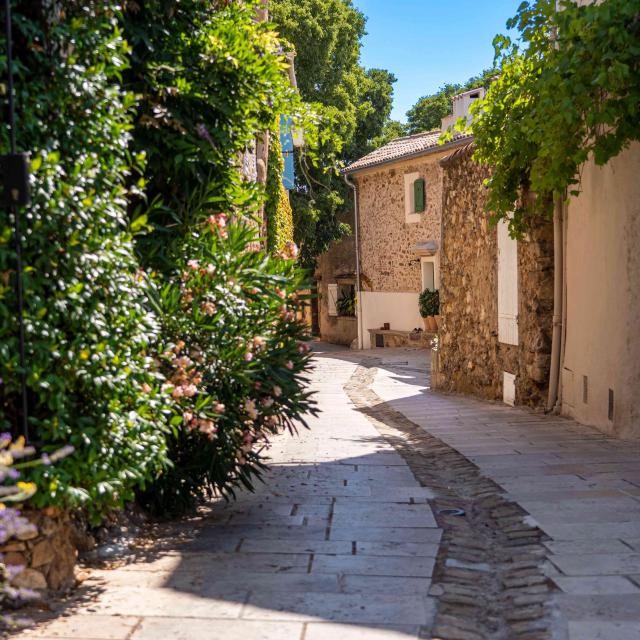 Grimaud Village Historique Var 91