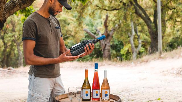 Vignoble Provence Grimaud Var 30