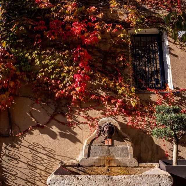 Automne Grimaud Var Provence 29