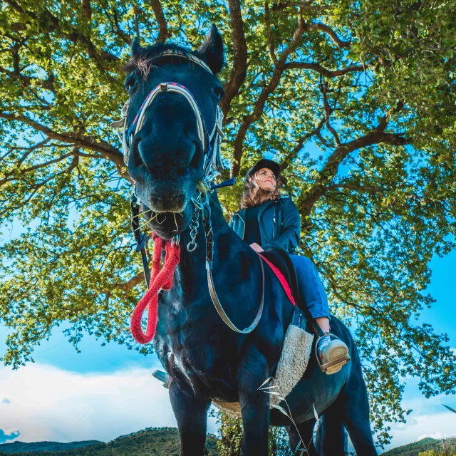 Balade Cheval Provence Grimaud Var 12