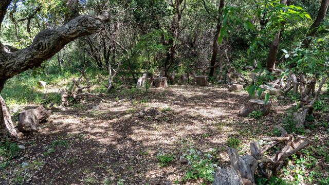 Pont Des Fees Grimaud Var 36