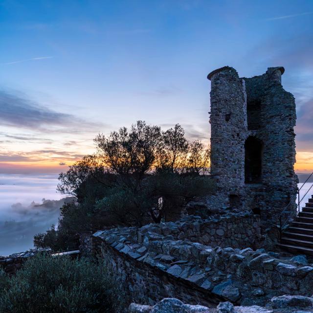 Chateau De Grimaud Var 22