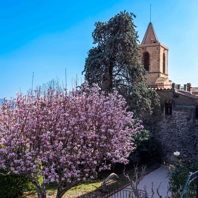 Grimaud Village Historique Var 99