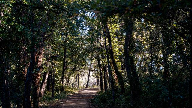 Sentier Pierredon Var 10