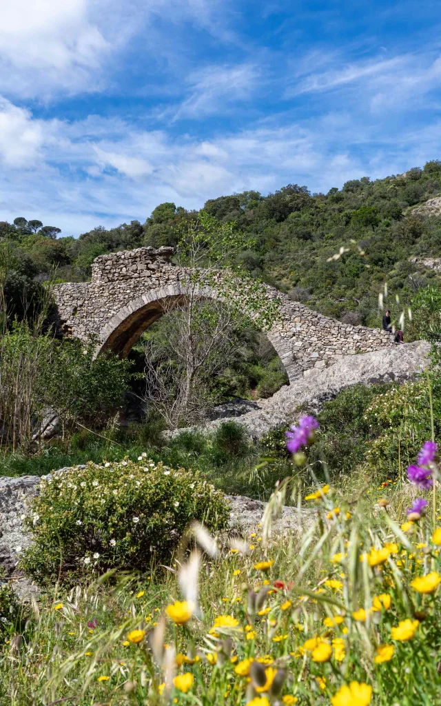 Pont Des Fees Grimaud Var 43