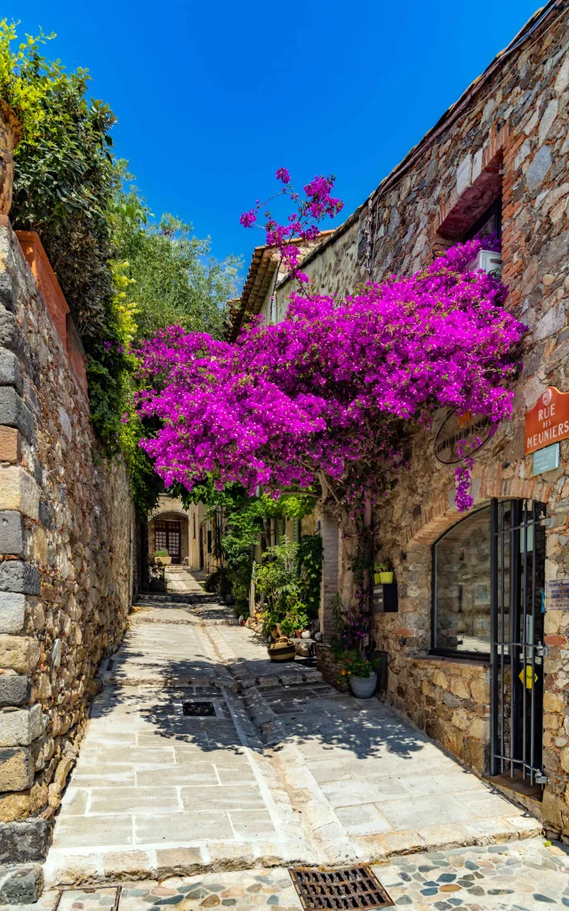 Grimaud Village Historique Var 115