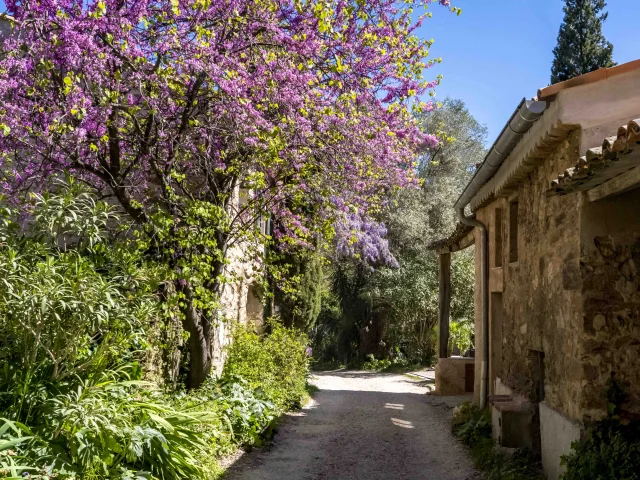 Hameau De Grimaud Var Provence 1
