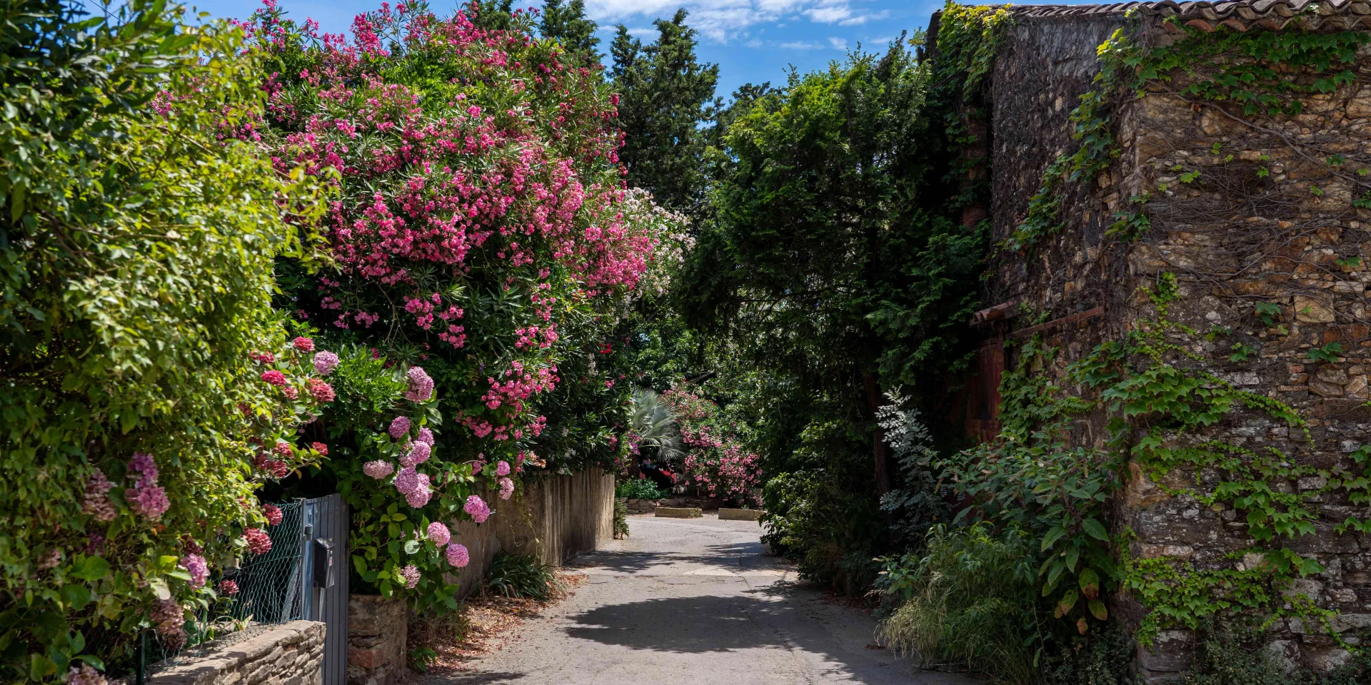 Hameau De Grimaud Var Provence 2