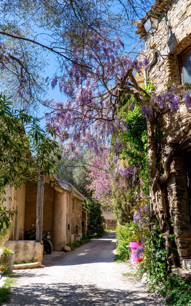 Hameau De Grimaud Var Provence 3