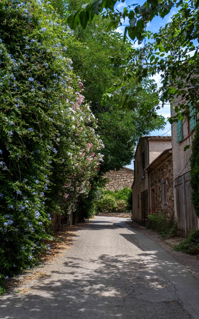 Hameau De Grimaud Var Provence 4