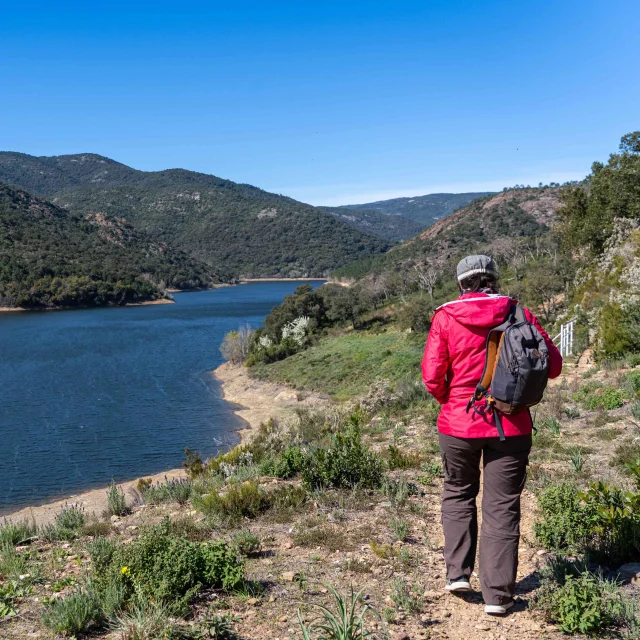 Massif Des Maures Grimaud Var Provence 52