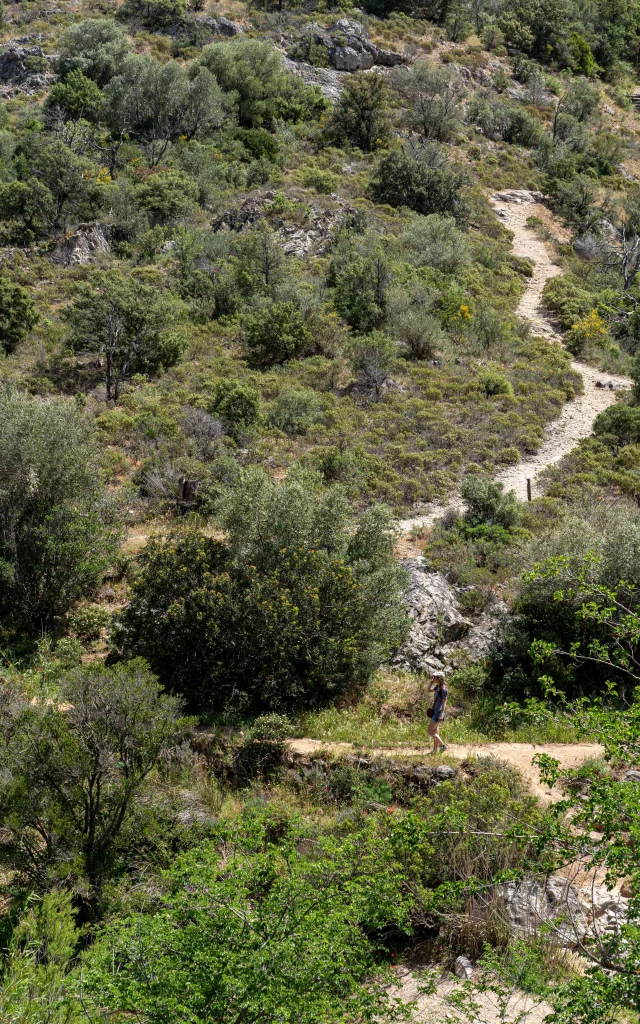 Massif Des Maures Grimaud Var Provence 53
