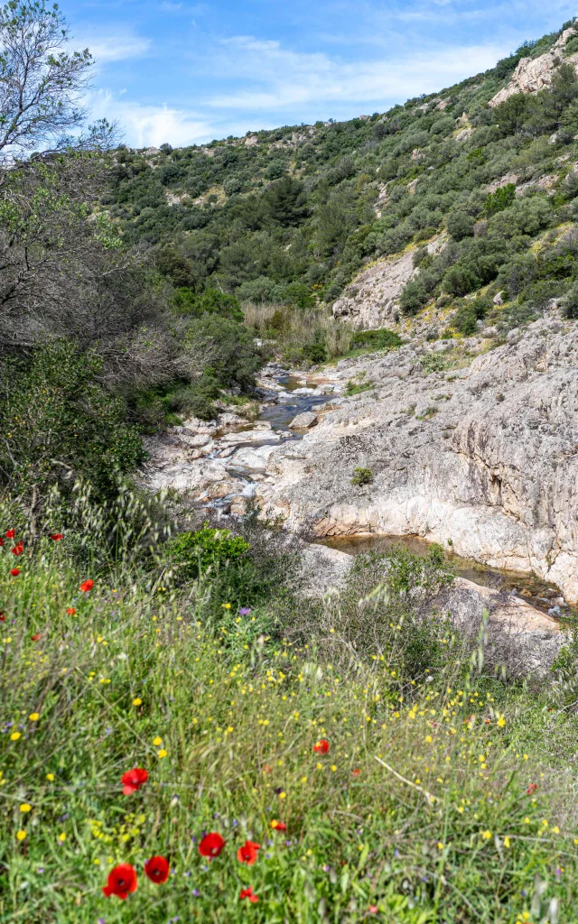 Massif Des Maures Grimaud Var Provence 54