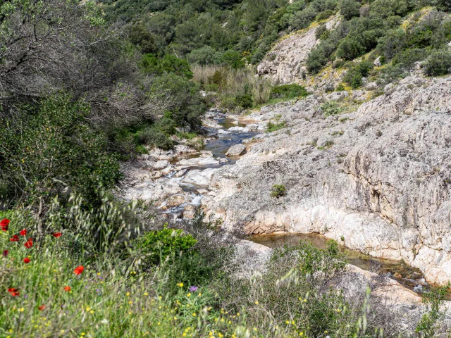 Massif Des Maures Grimaud Var Provence 54