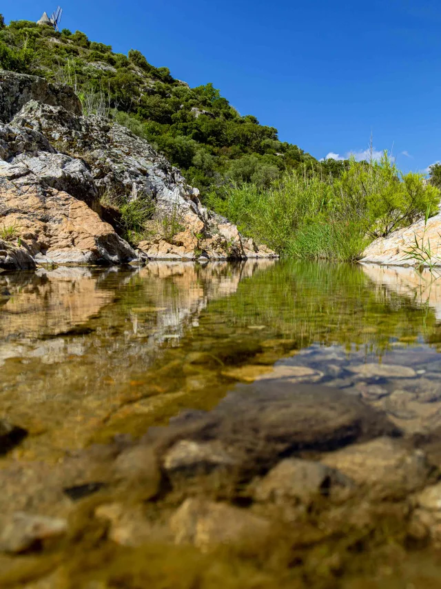 Developpement Durable 1