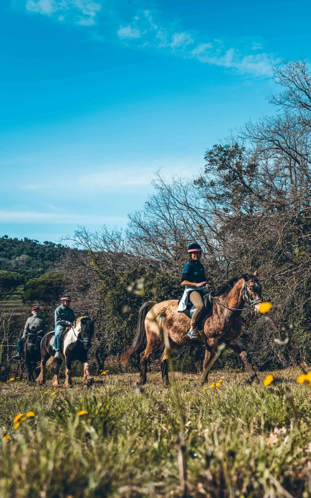 Balade Cheval Grimaud 11