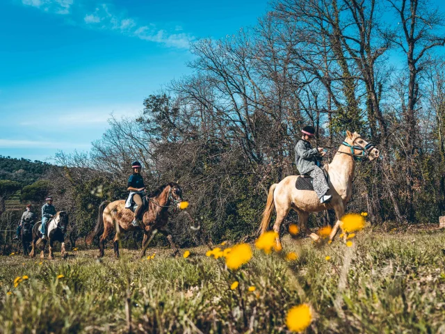 Ausritt Pferd Grimaud 11