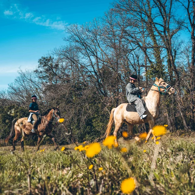 Balade Cheval Grimaud 11