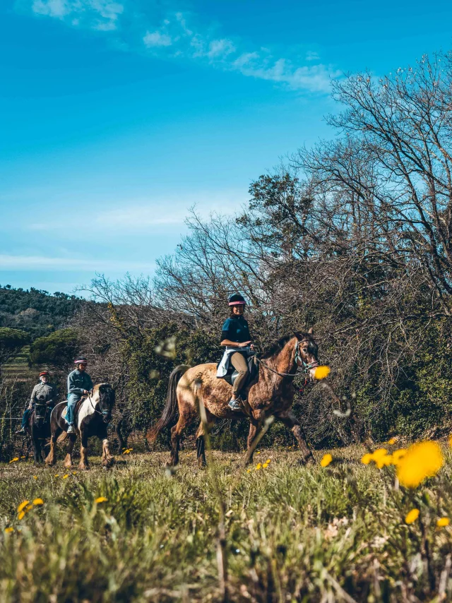 Balade Cheval Grimaud 11