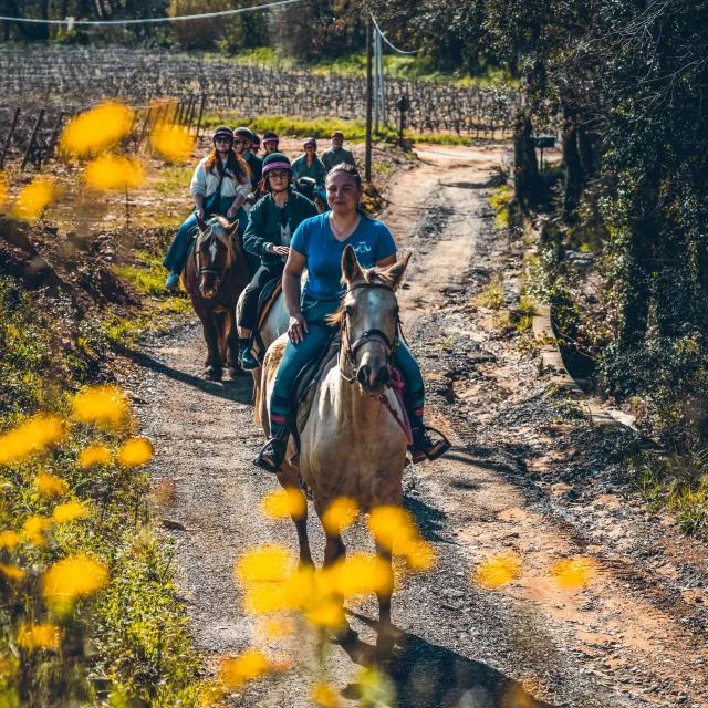 Balade Cheval Grimaud 12
