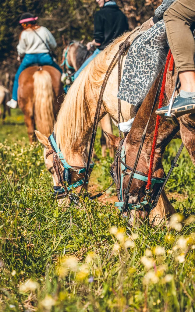 Balade Cheval Grimaud 13
