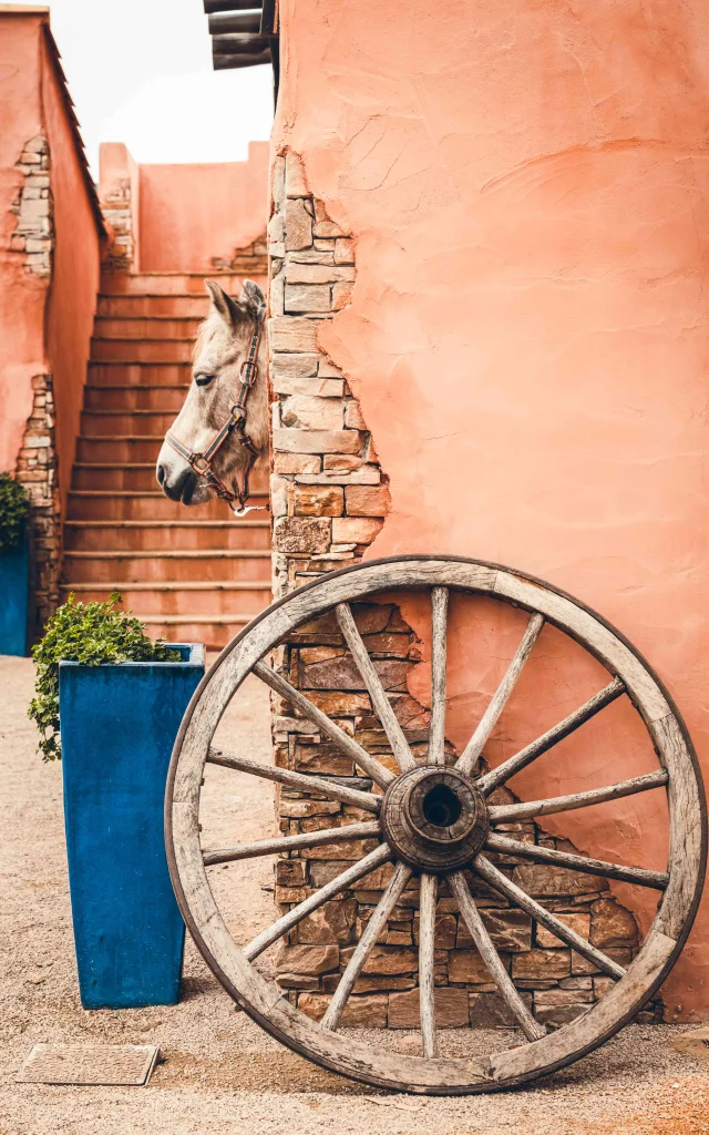 Horse ride Grimaud 14