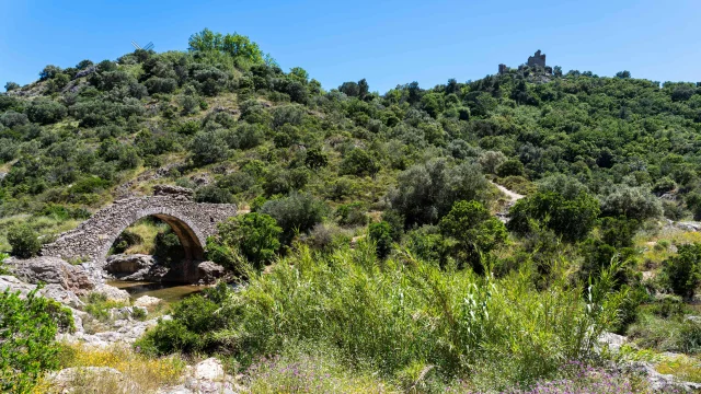 Pont Des Fees Grimaud Var 49