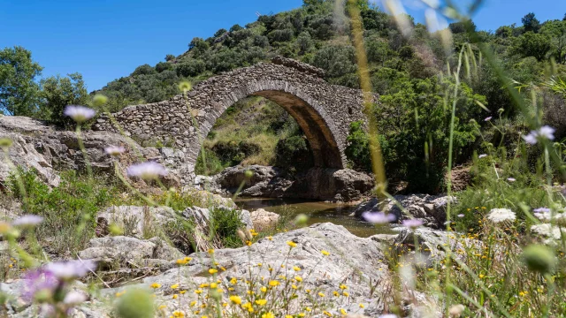 Pont Des Fees Grimaud Var 51