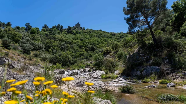 Pont Des Fees Grimaud Var 53