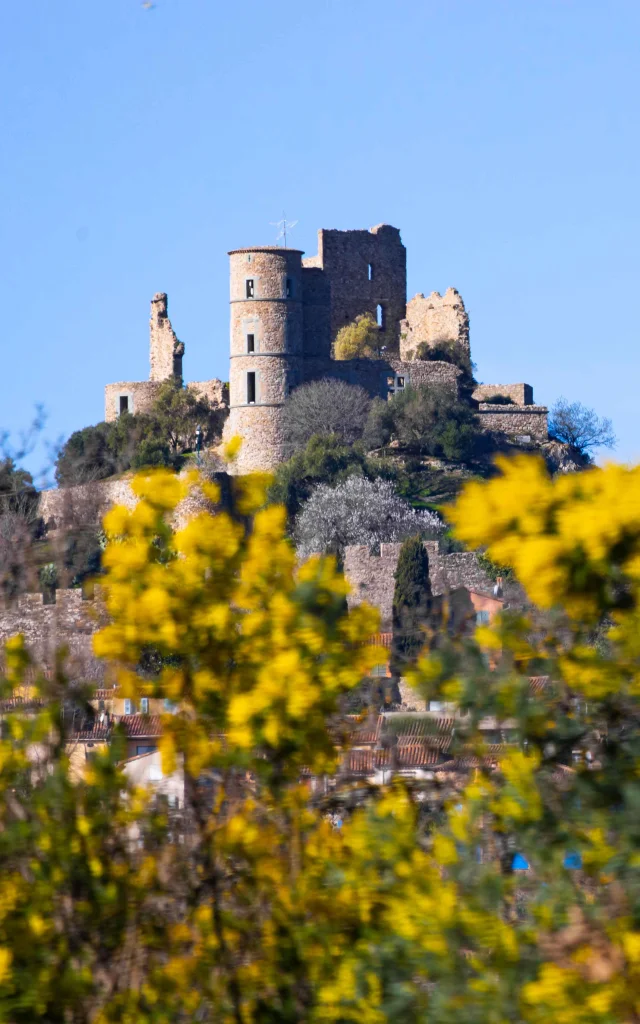 Chateau De Grimaud Var 36