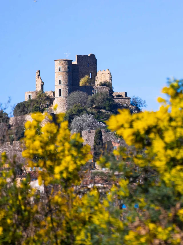 Chateau De Grimaud Var 36