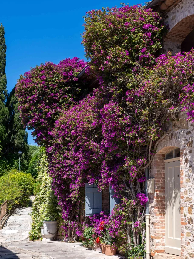 Grimaud Historic Village Var 123