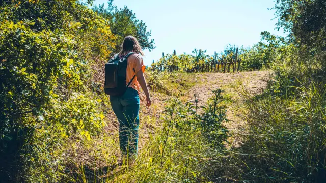 Catellane Trail Grimaud 1
