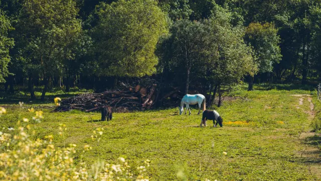 Catellane Trail Grimaud 3