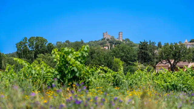 Catellane Trail Grimaud 5